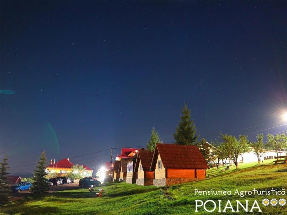 Pensiunea Agroturistica Poiana Poiana Negrii Exterior photo