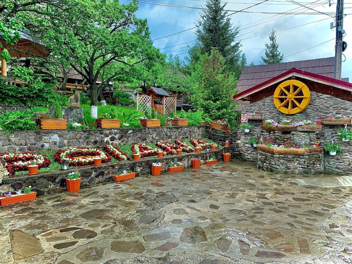 Pensiunea Agroturistica Poiana Poiana Negrii Exterior photo